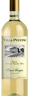 Villa Puccini Pinot Grigio 2018 For Discount