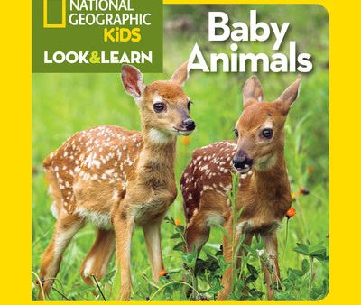 Baby Animals Online Hot Sale