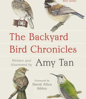 Backyard Bird Chronicles, The Hot on Sale