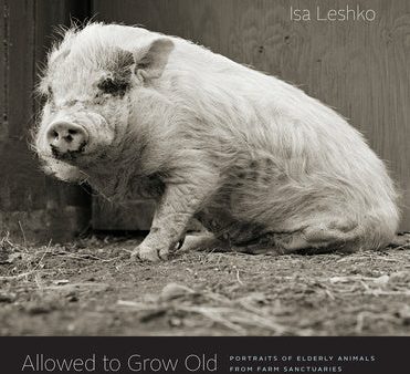 Allowed to Grow Old: Portraits of Elderly Animals from Farm Sanctuaries Online now