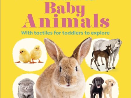 Touch and Feel Baby Animals Fashion